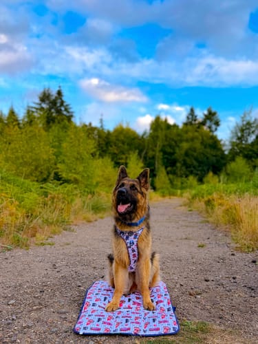 Customer photo review of Paddington™ Travel Mat - London