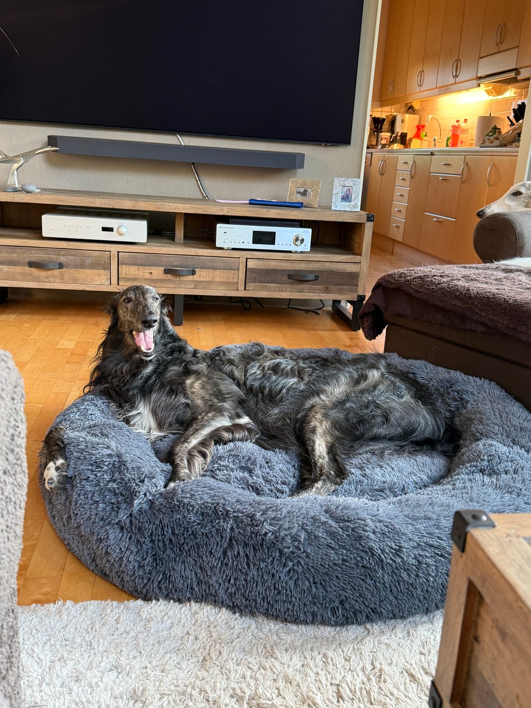 Customer photo review of CalmBed - Mjuk och skön hundbädd för oslagbar komfort