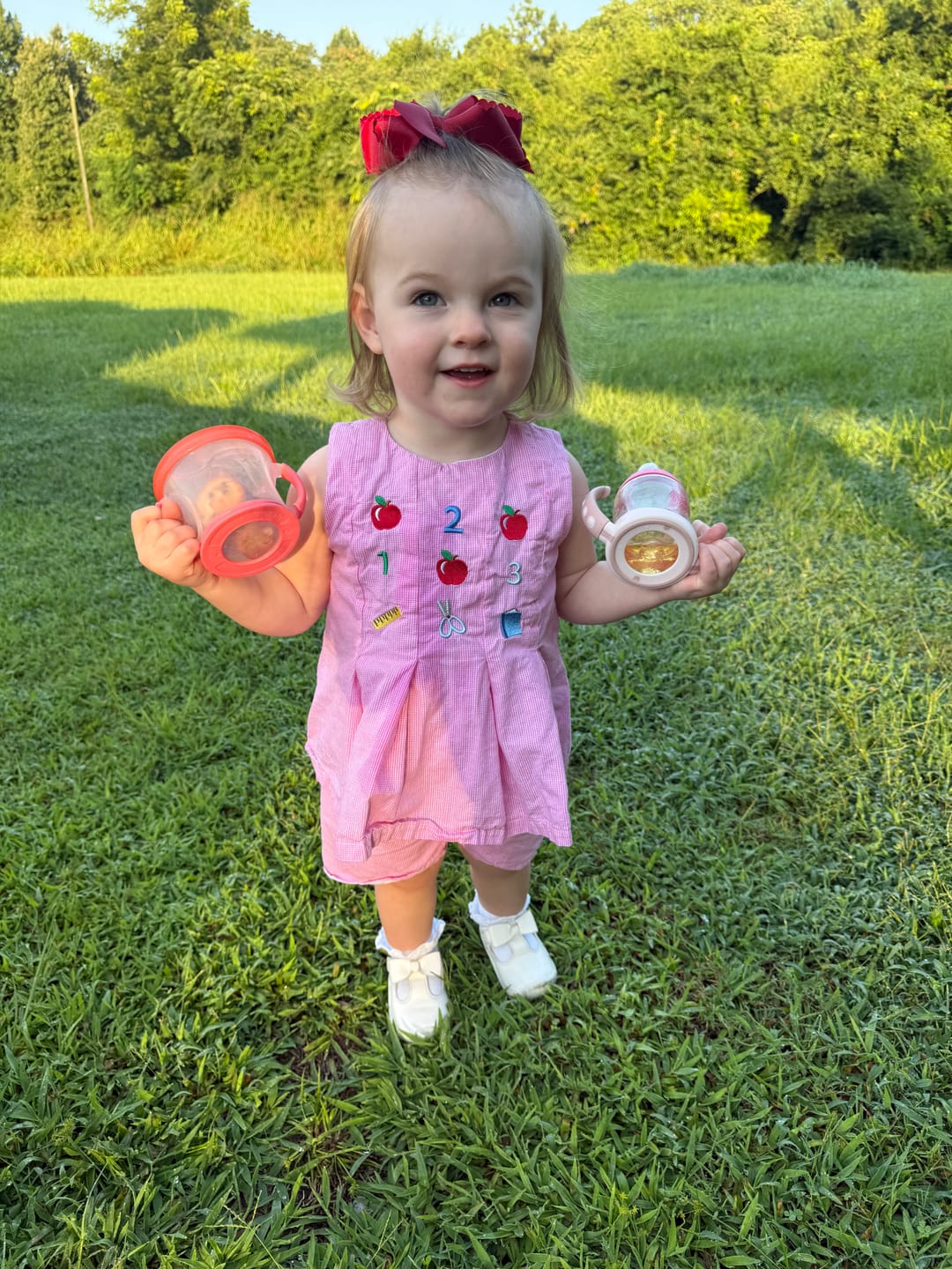 Customer photo review of Ready To Learn Pink Mini Gingham Chloe Short Set