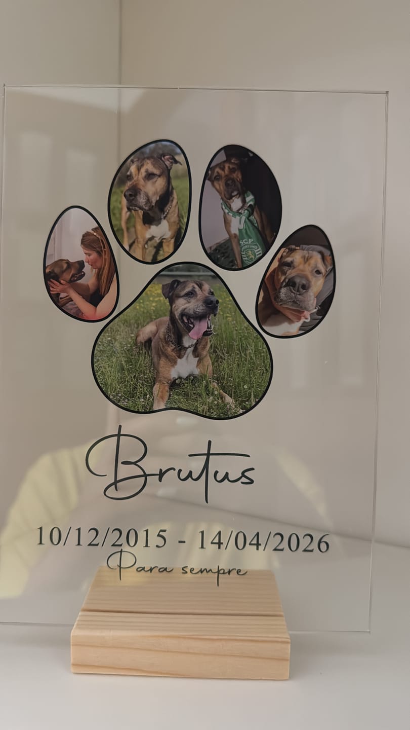 Customer photo review of Placa Pata de Animal c/ 5 Fotografias