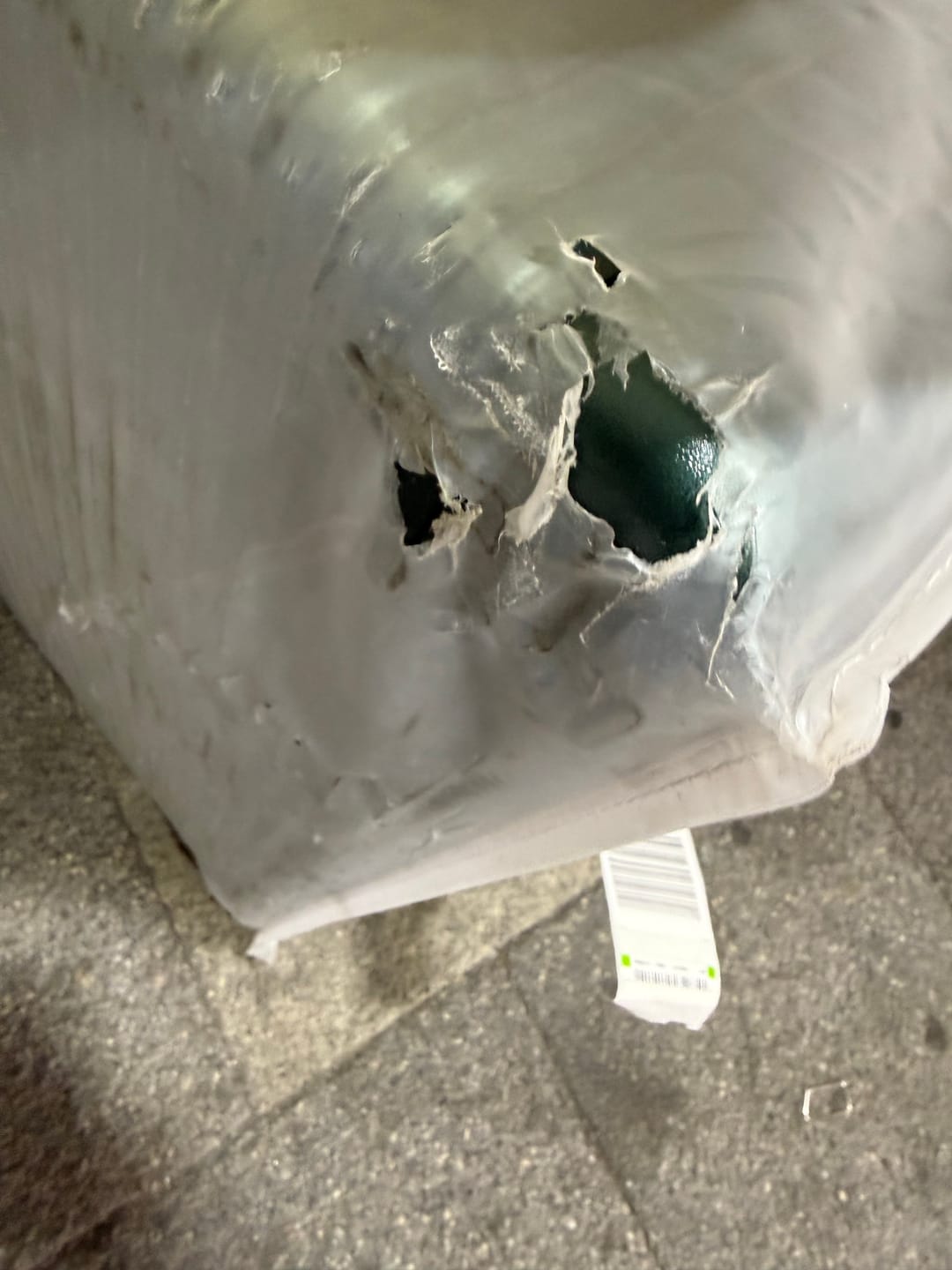 Customer photo review of Luggage Cover