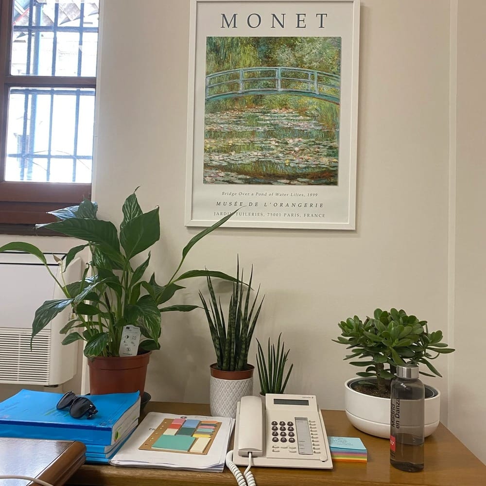 Customer photo review of The Japanese Bridge by, Claude Monet Painting