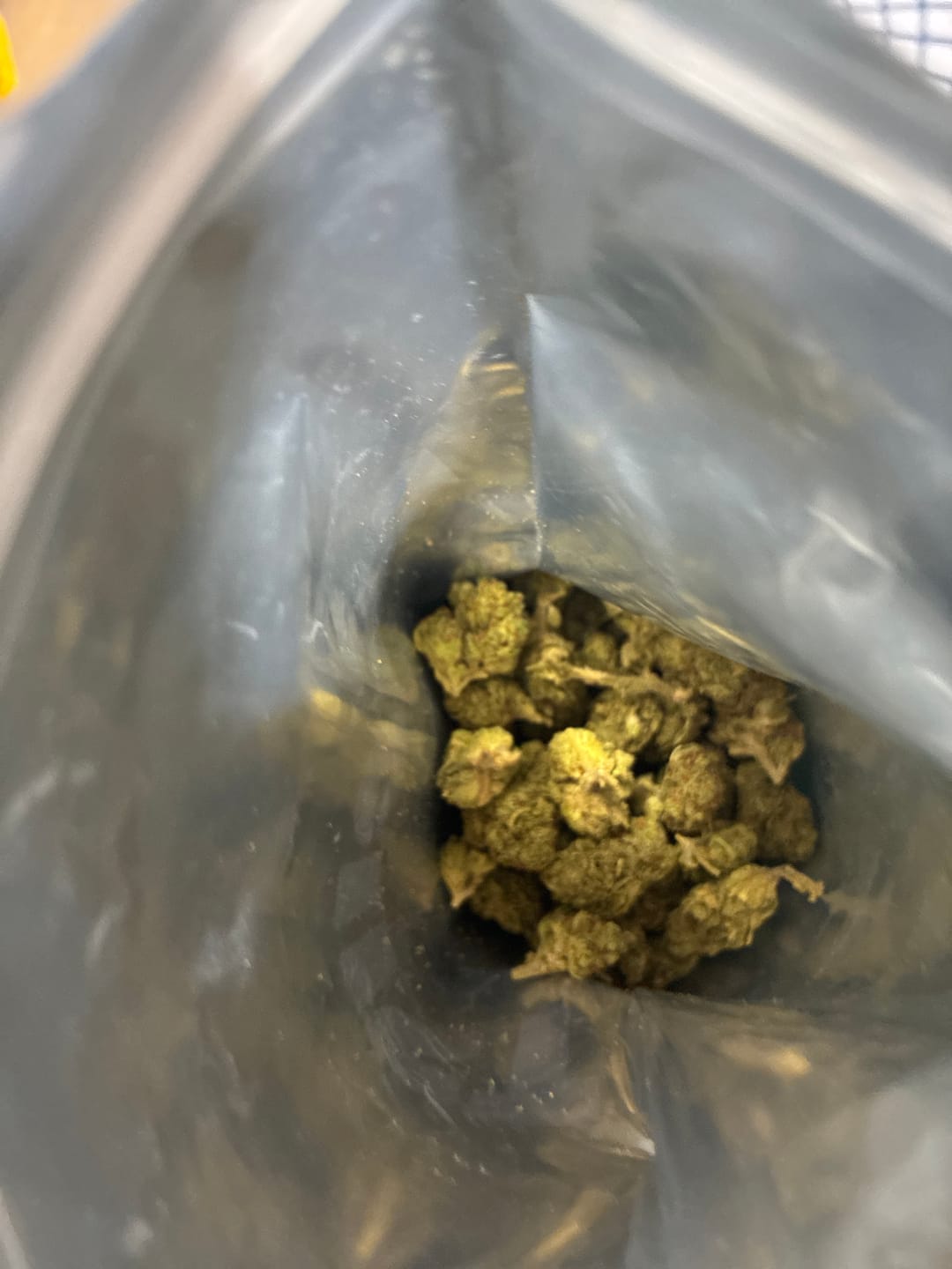 Customer photo review of Mule Fuel - Greenhouse Smalls