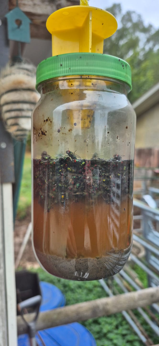 Customer photo review of HorseSafe LiquidTrap – Schluss mit Fliegenstress auf deinem Hof