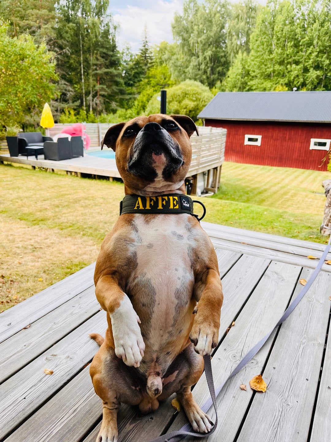 Customer photo review of Extreme Buckle med namn
