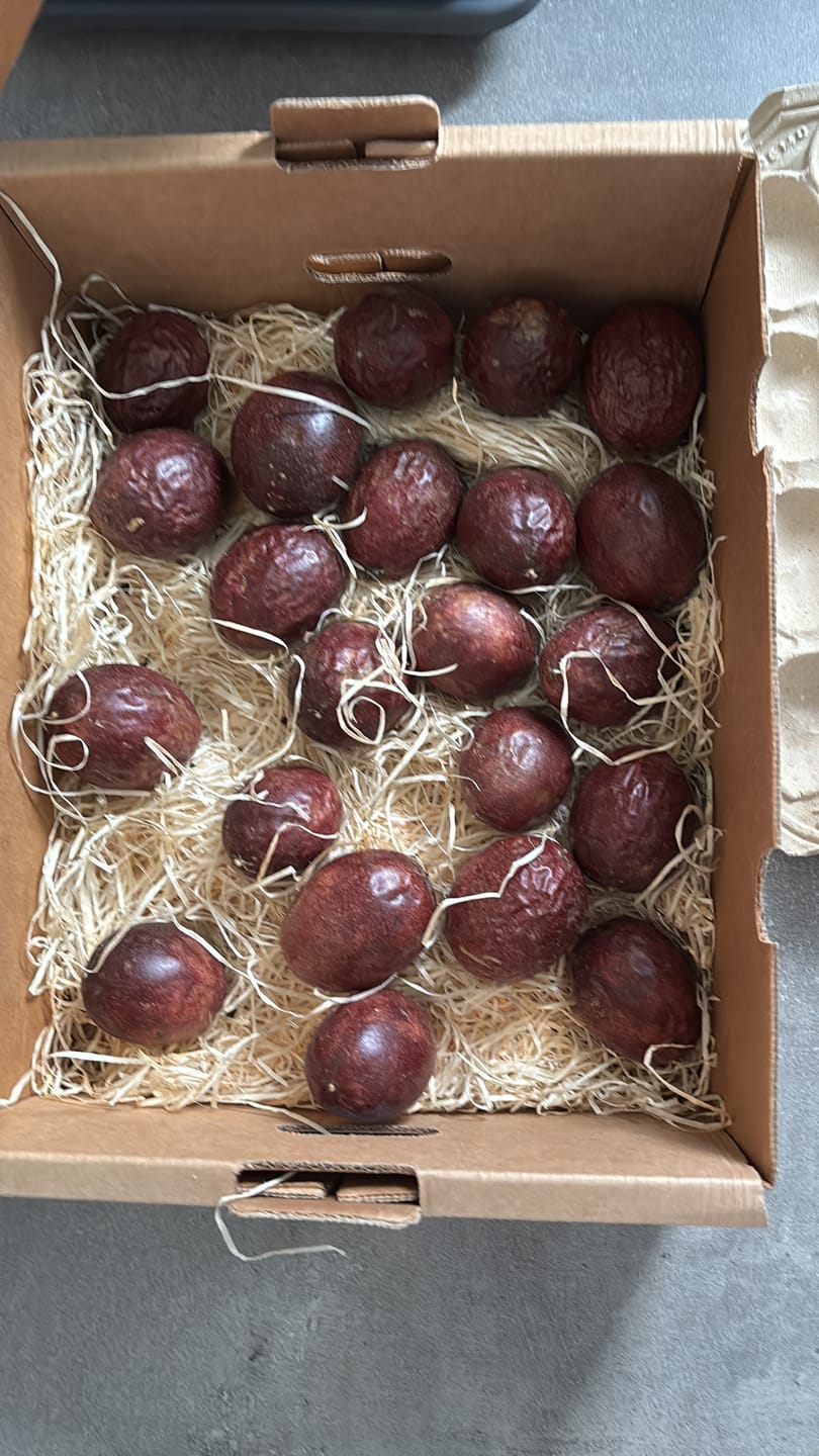Customer photo review of Passionsfrüchte Bio von Salvador Retteraktion %