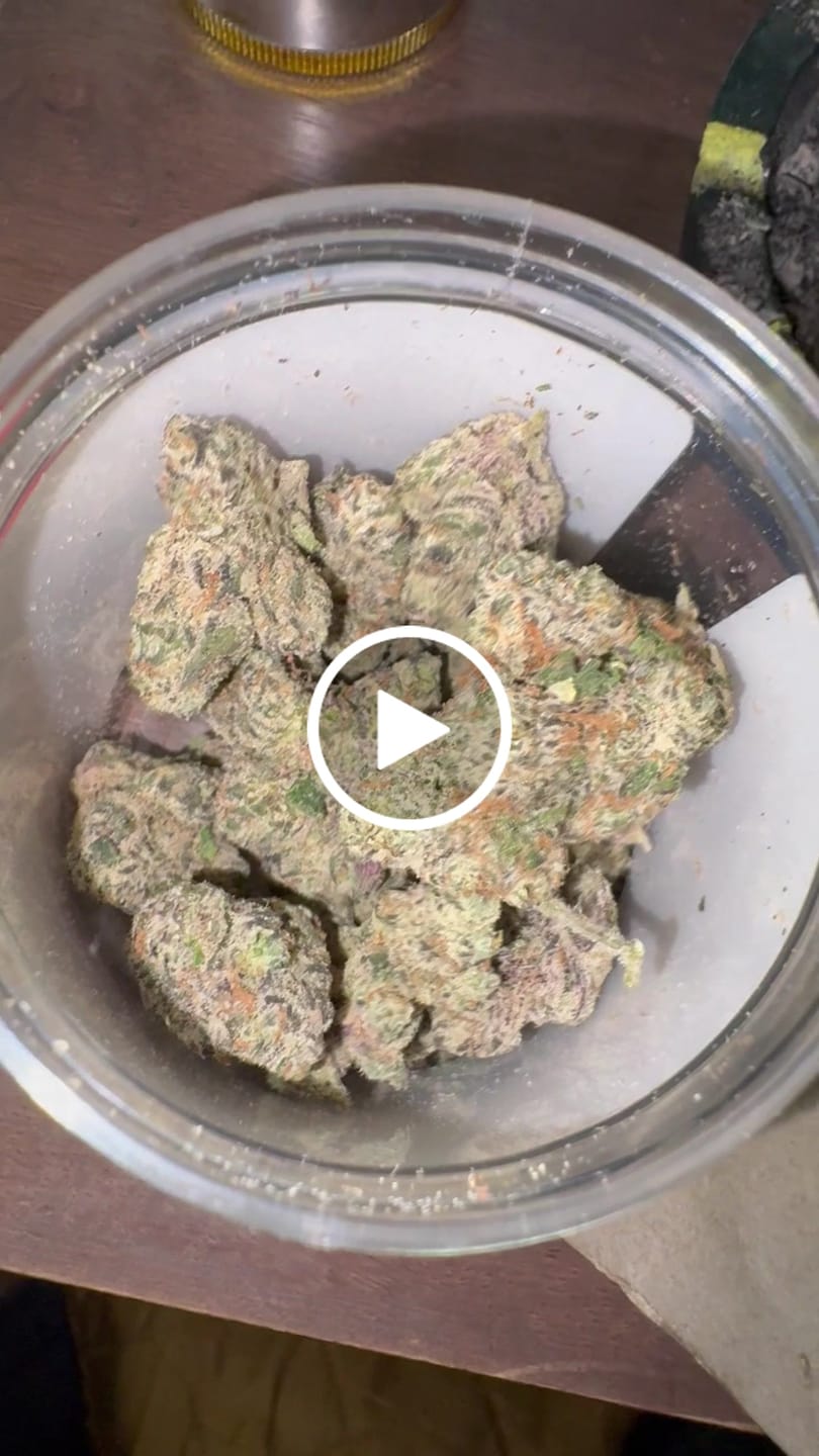 Customer video review of Boutique Exotics - Obama Runtz - 14 Grams - Hybrid