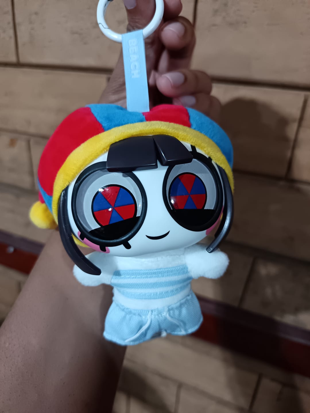 Customer photo review of Pomni Pendantz Blindbox