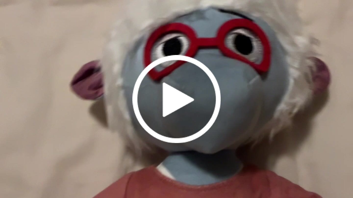 Customer video review of Original Character (OC) Design Plush