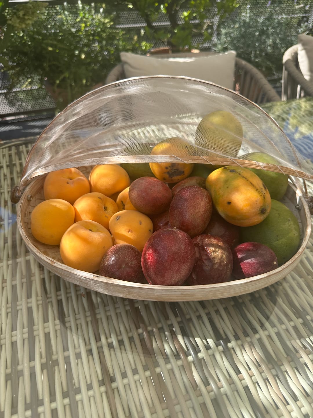 Customer photo review of Passionsfrüchte Bio von Julian Aktionswoche %