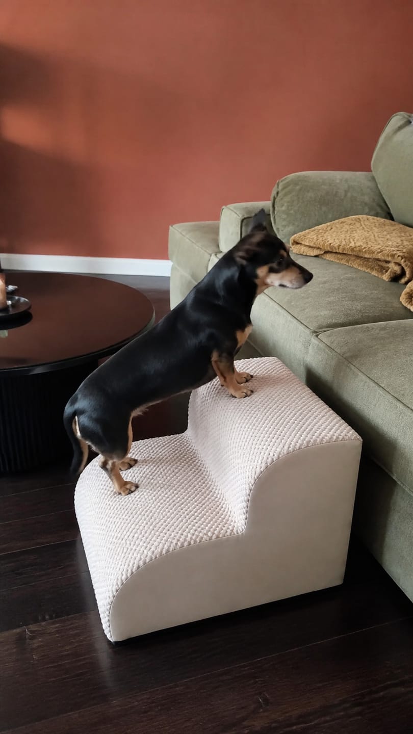 Customer photo review of AuraEase Soft Dog Stairs for Bed & Couch