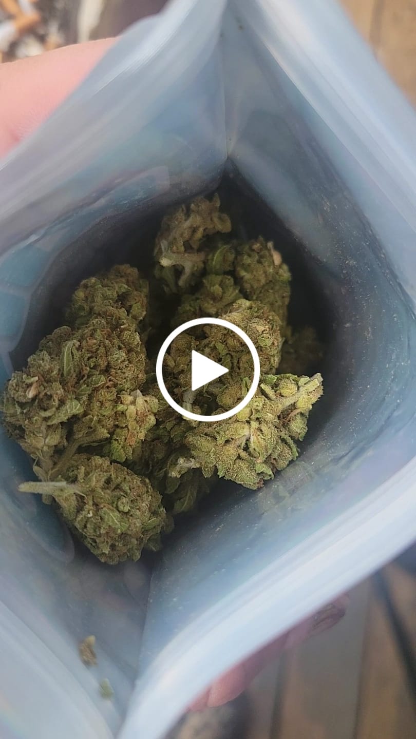 Customer video review of White Gelato - 28 Grams - Indica