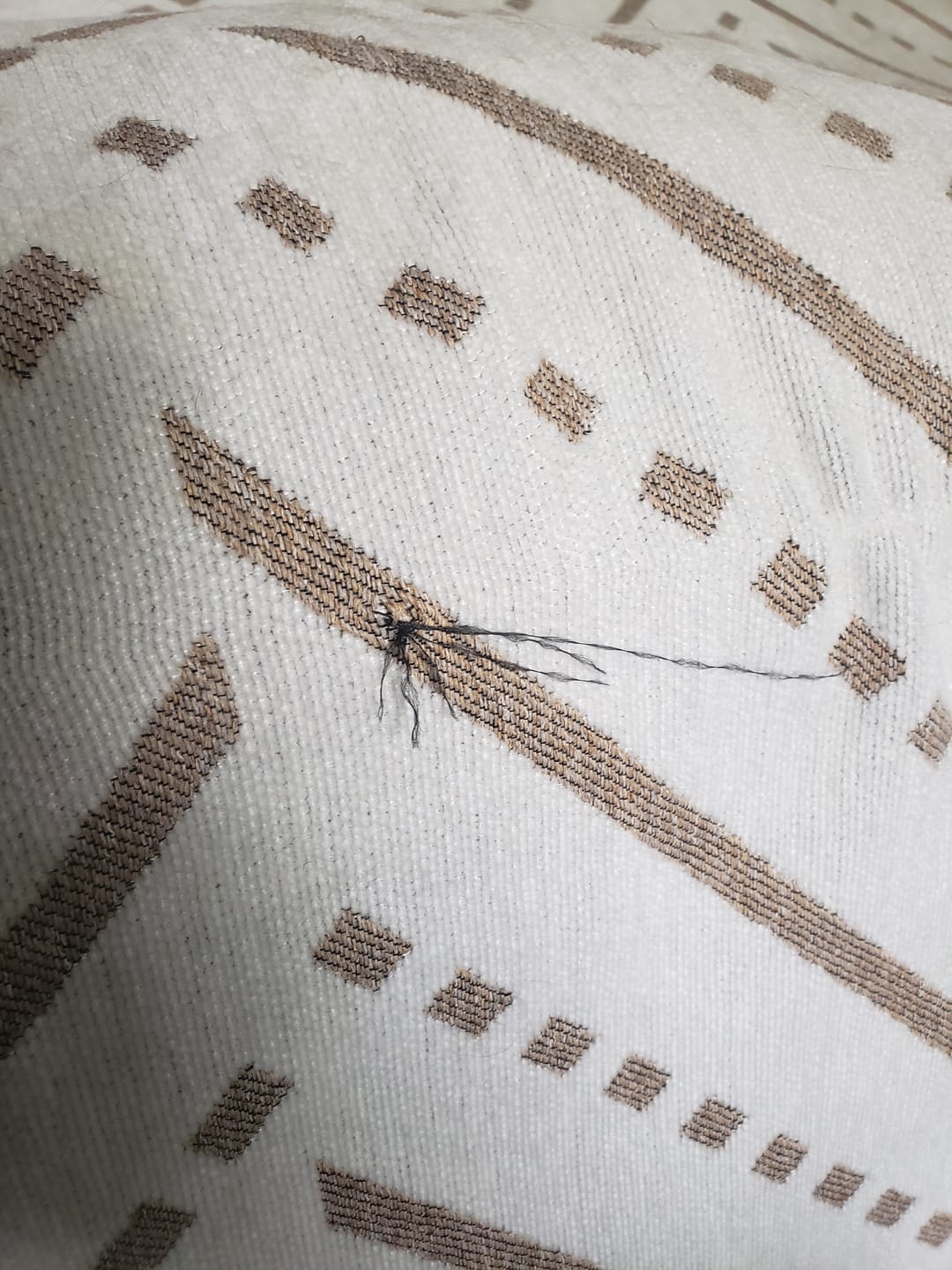 Customer photo review of Pet Couch Cover - Inca Beige