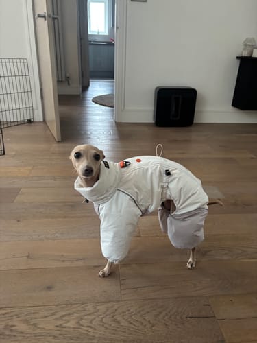 Customer photo review of Autumn Breeze Outdoor Suit