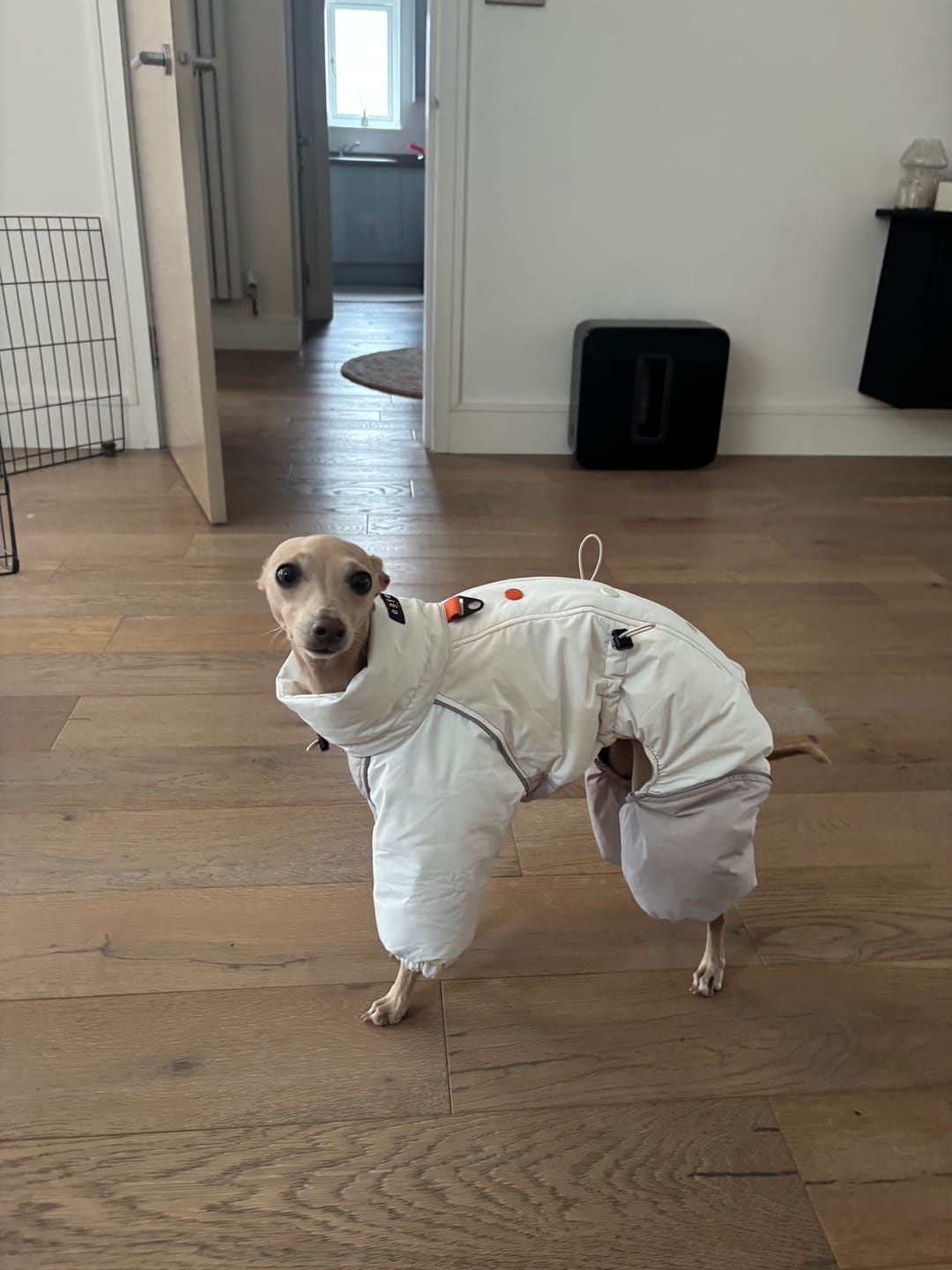 Customer photo review of Autumn Breeze Outdoor Suit