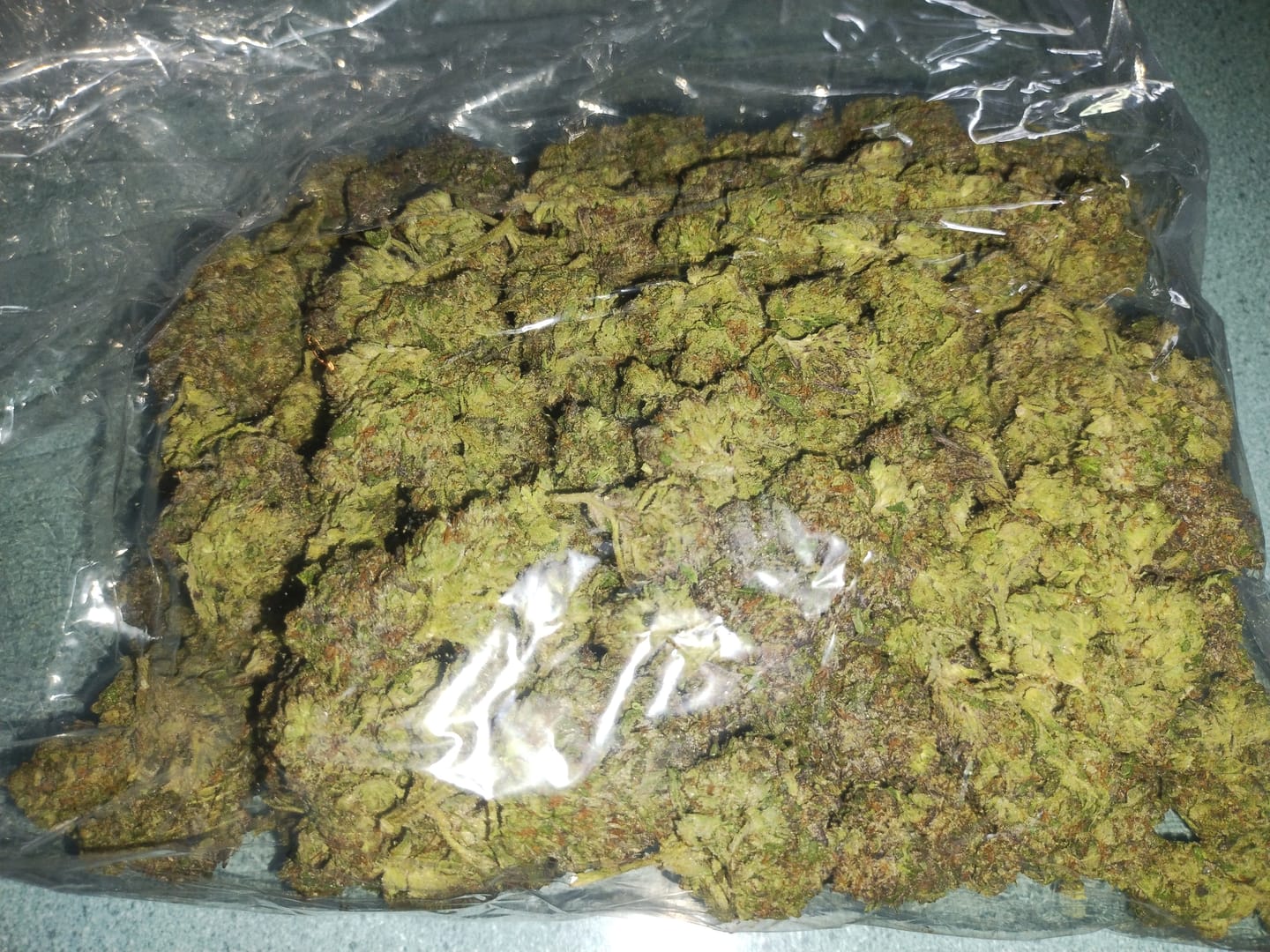 Customer photo review of Platinum Bubba - Bulk - Indica