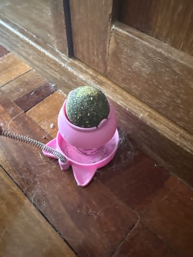 Customer photo review of Juguete Interactivo para Gatos