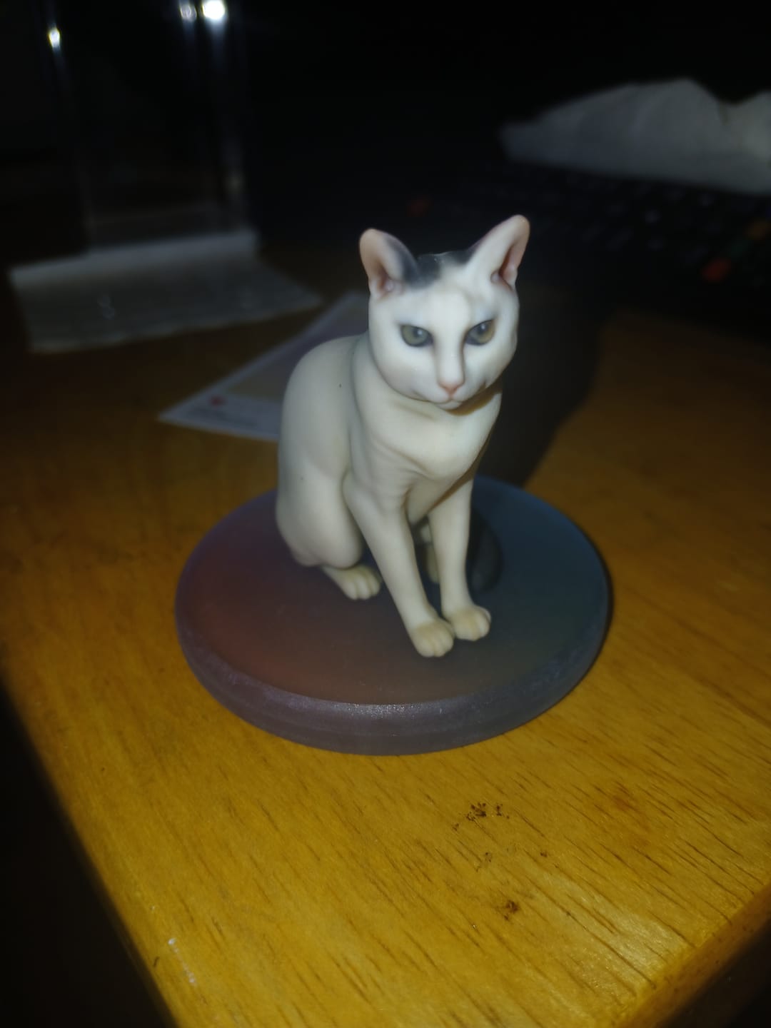 Customer photo review of Personalized Pet 3D Figurine from Photo