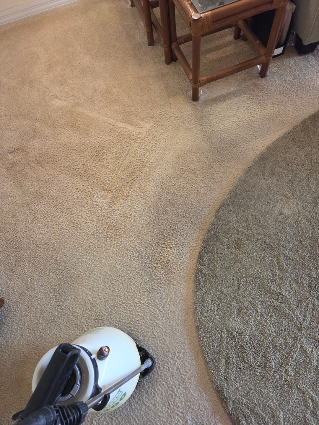 Customer photo review of FiberPlus Carpet Cleaning Pads 6.5 inch (case of 15)