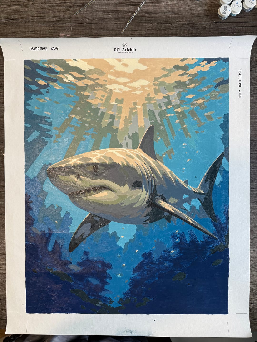Customer photo review of Ocean Apex | Paint by Number