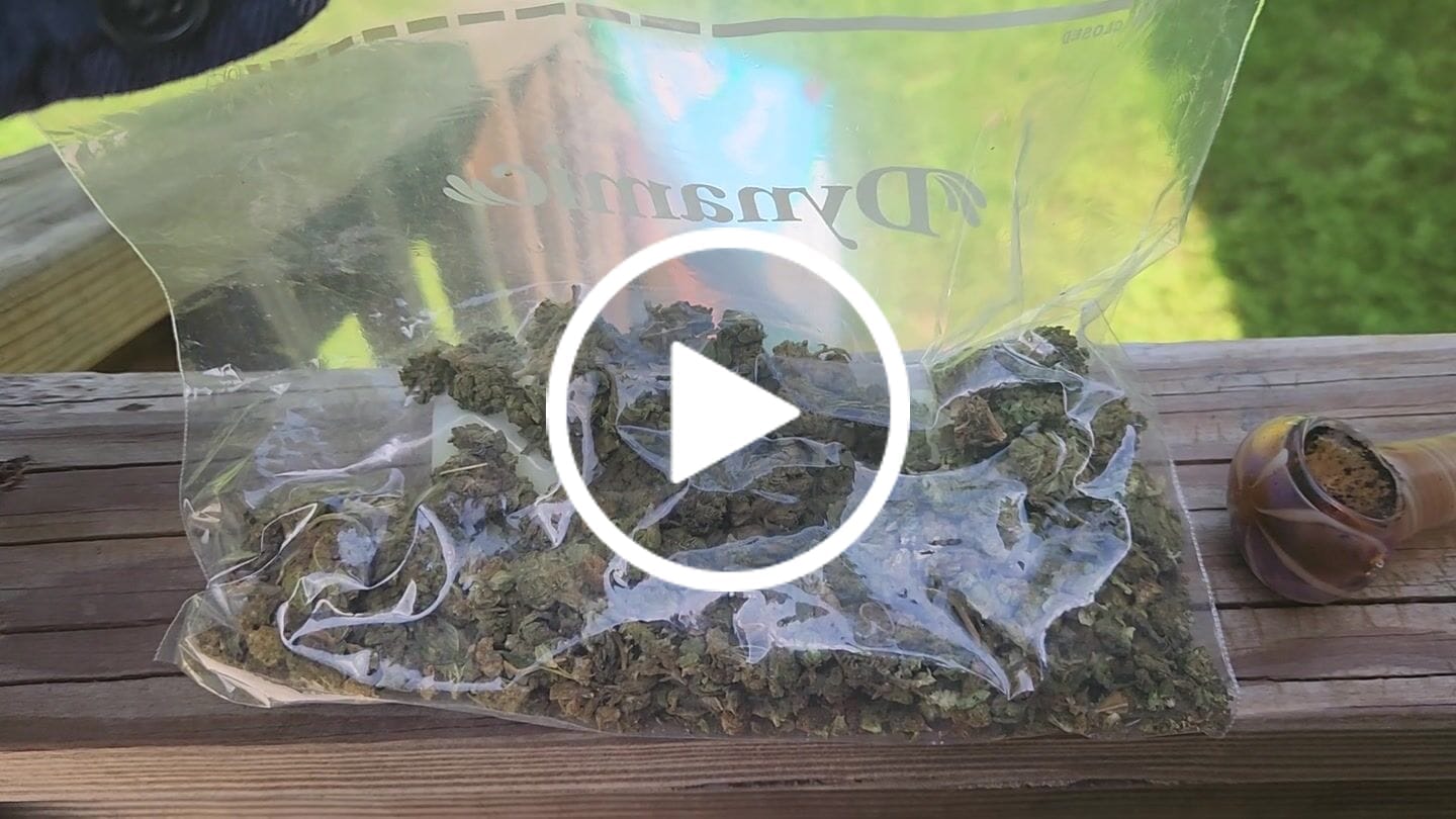 Customer video review of 1 Oz Cheap THCA Small Buds