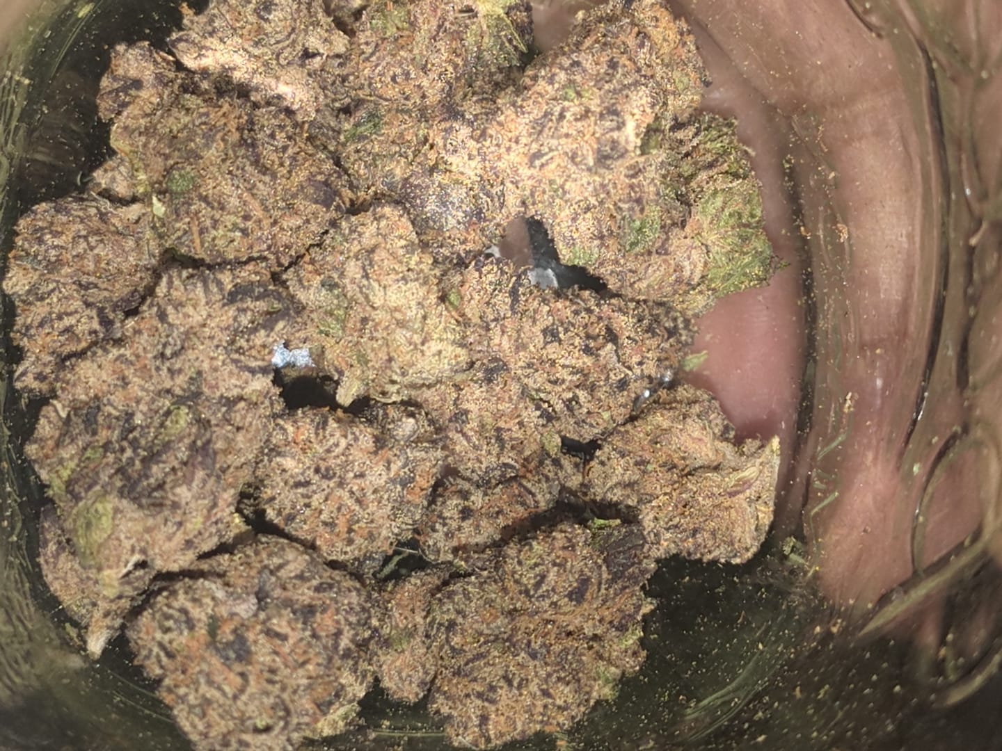 Customer photo review of ZKittles - Indoor
