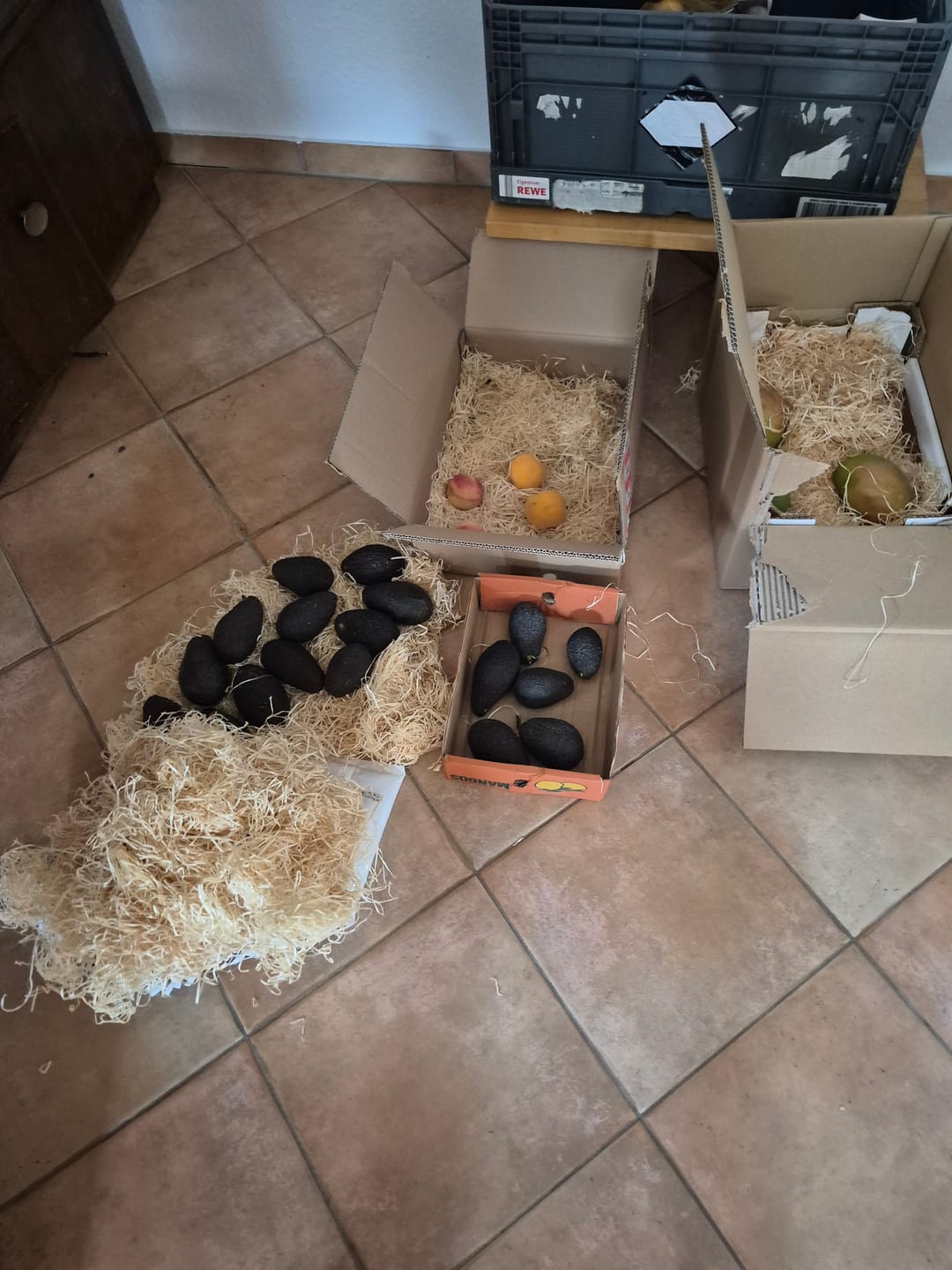 Customer photo review of Mango-Raritäten Mix von Julian