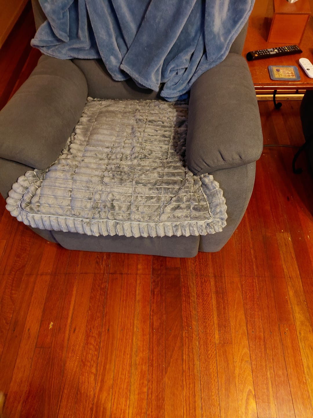Customer photo review of CouchCloud - Couch Covers