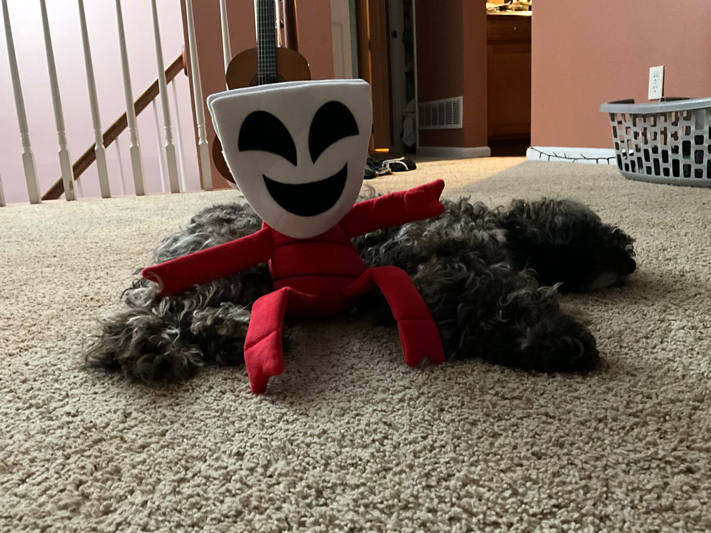 Customer photo review of Gangle Plush