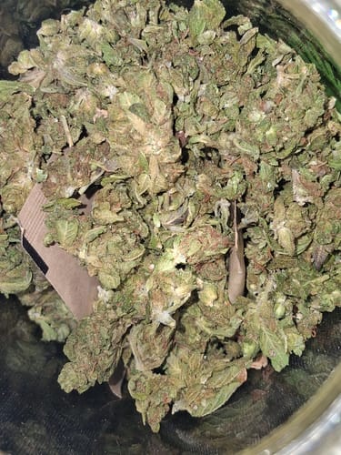 Strawberry Grape™ – Feminized CBD Seeds photo review