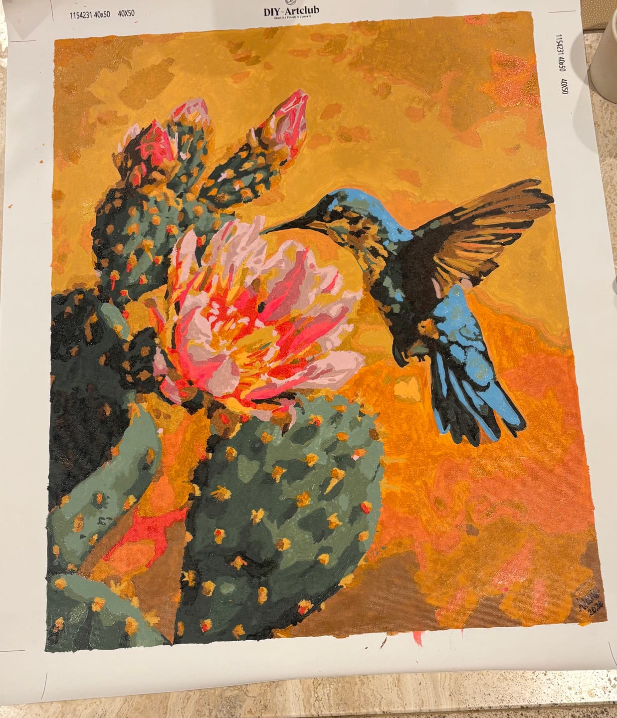 Customer photo review of Mexican Nature | Paint by Number