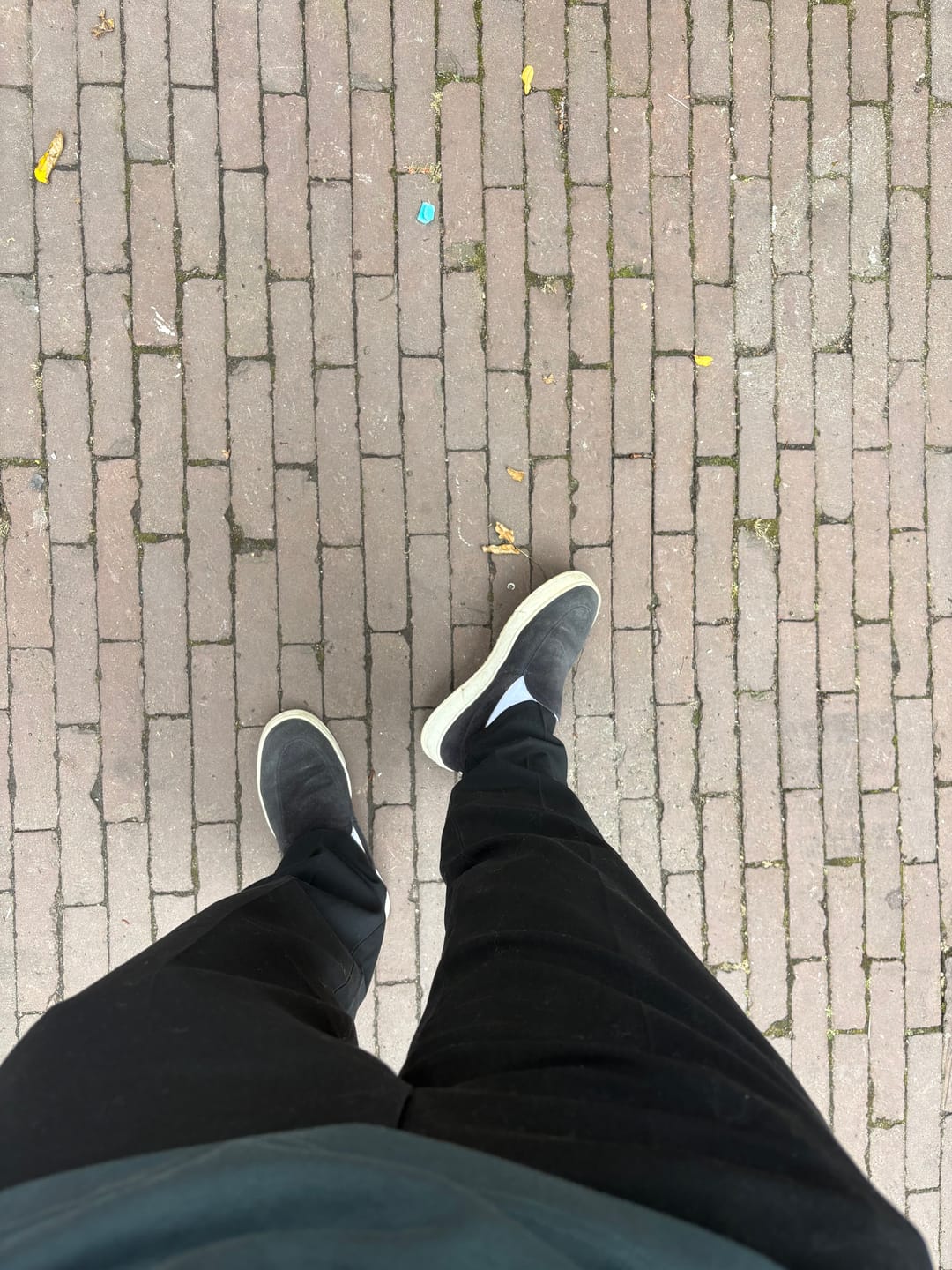Customer photo review of Signature Crew Sock