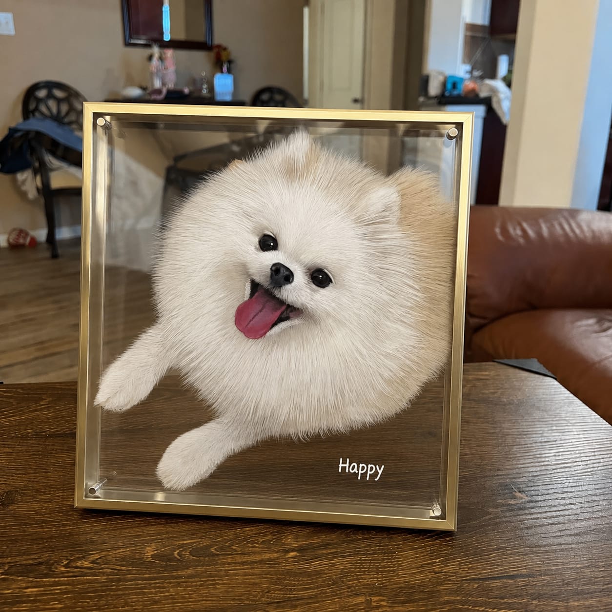 Customer photo review of 3D Hand-Drawn Pet Portraits