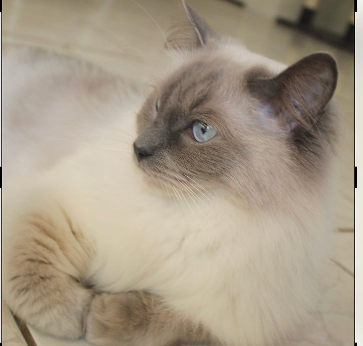 Customer photo review of One Time Bag Purchase