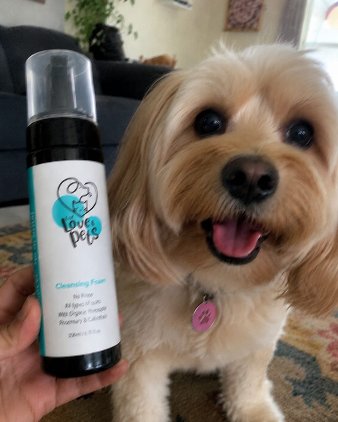 Customer photo review of Αφρός Καθαρισμού Χωρίς Νερό για Σκύλους & Γάτες - Καθαρό Τρίχωμα Χωρίς Μπάνιο