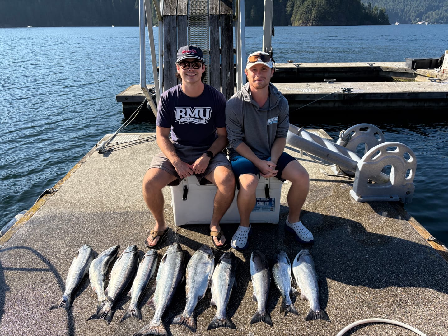 Customer photo review of Kingfisher