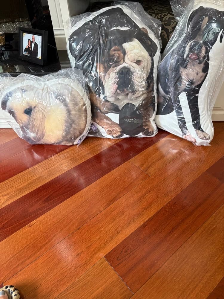 Customer photo review of Custom Photo Pillow for College & Back to School – Personalized Shaped Hug Pillow