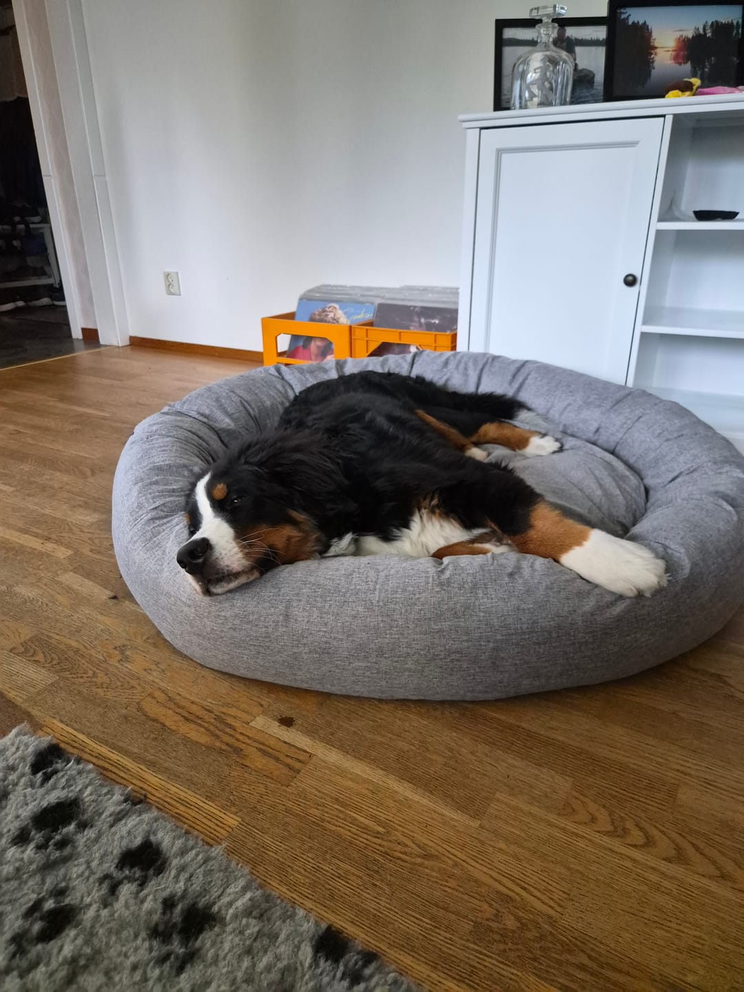 Customer photo review of CalmBed - Motverkar stress & hjälper mot ångest