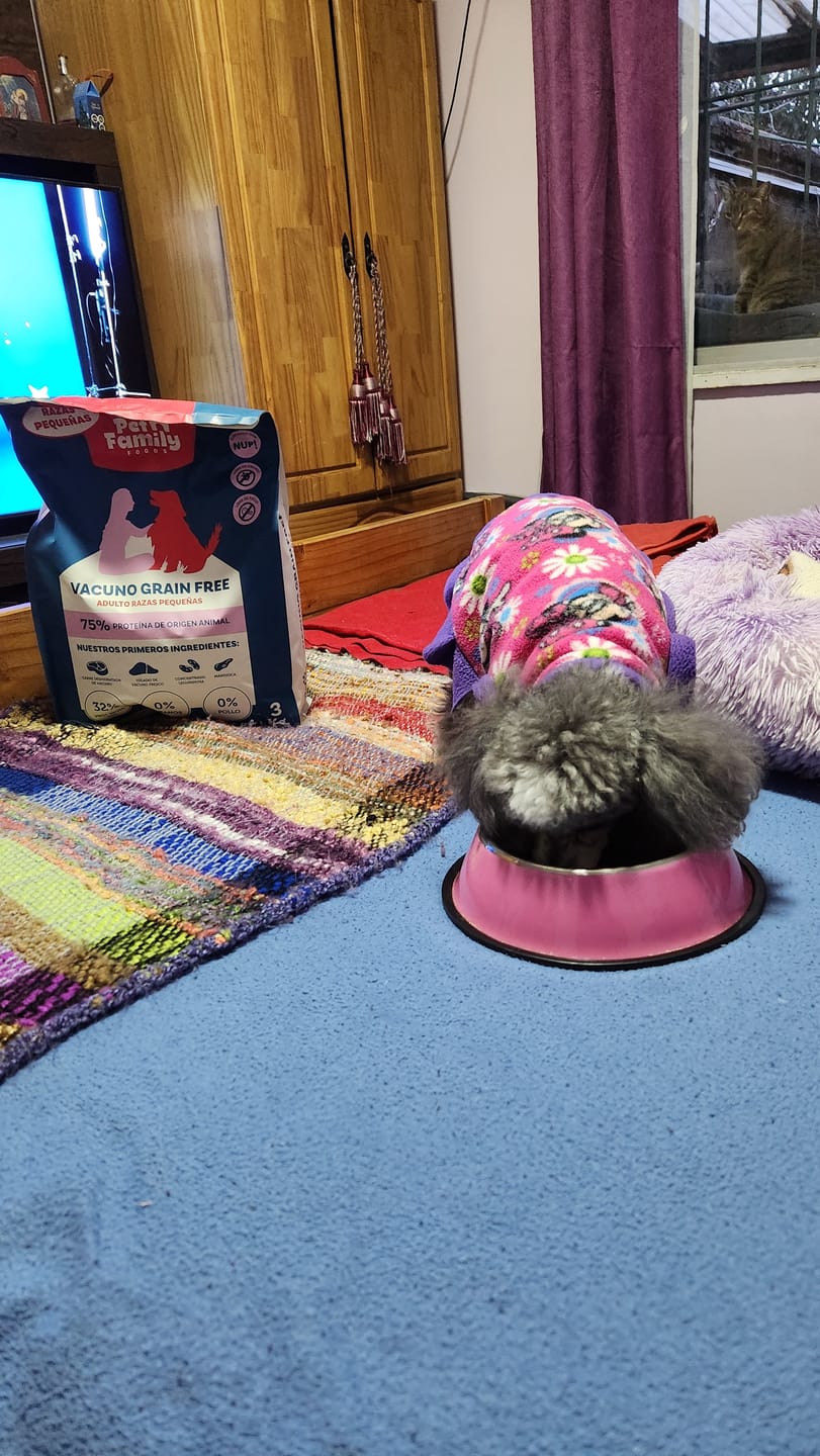 Customer photo review of PetFamily Foods Razas Pequeñas