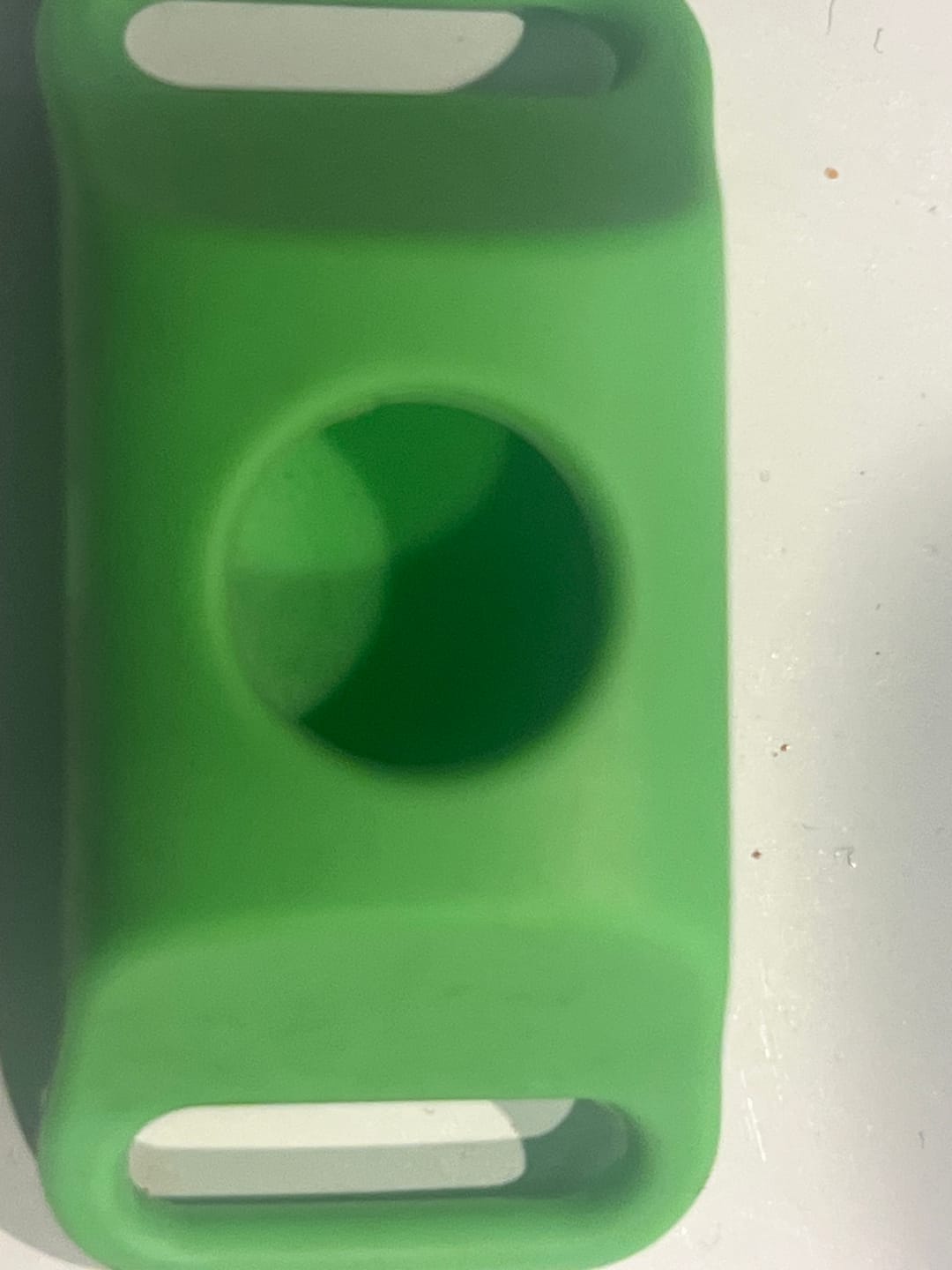 Customer photo review of FurLife™ - 12 Months All Natural Flea and Tick Tags for Dogs