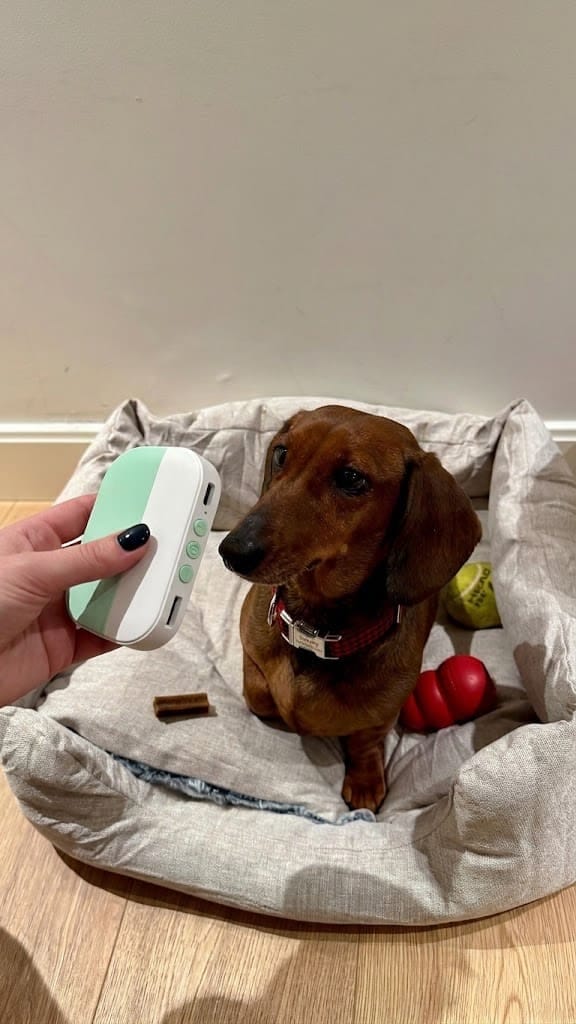 Customer photo review of PawSpa® Calmy™ — Sonidos de Relajación para Mascotas