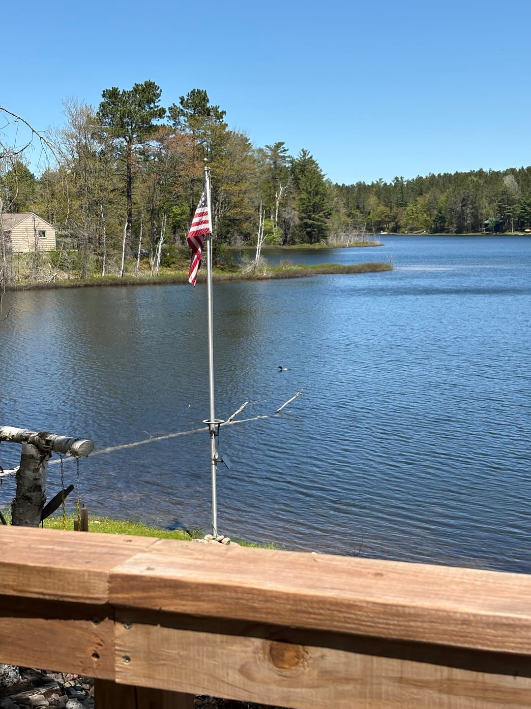 Customer photo review of 3' x 5' American Flag