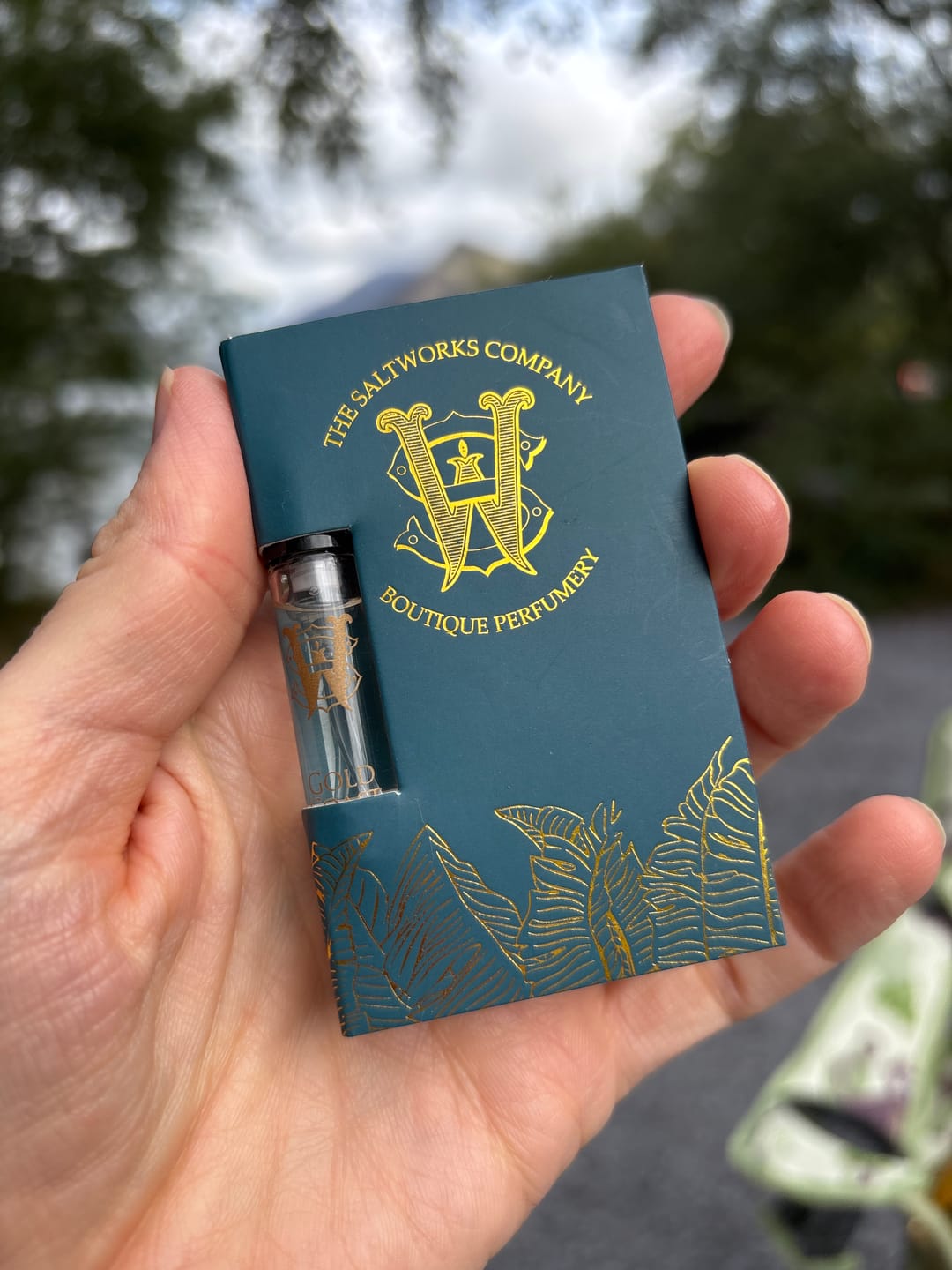 Customer photo review of Gold Coast