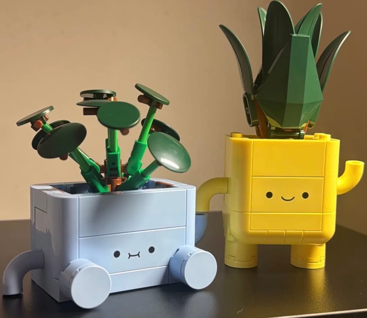 Customer photo review of Plantas Felices