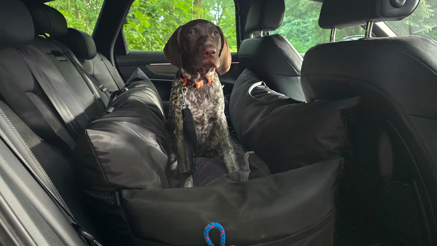 Customer photo review of Travel Dog Pod XL - Now With Isofix