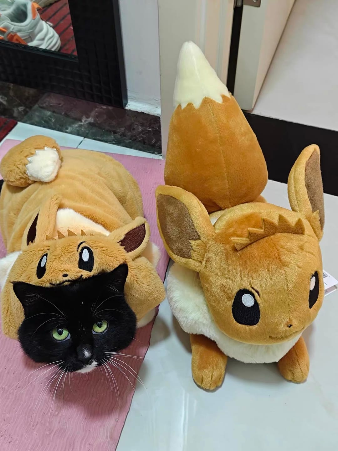 Customer photo review of Poké Pet Costume