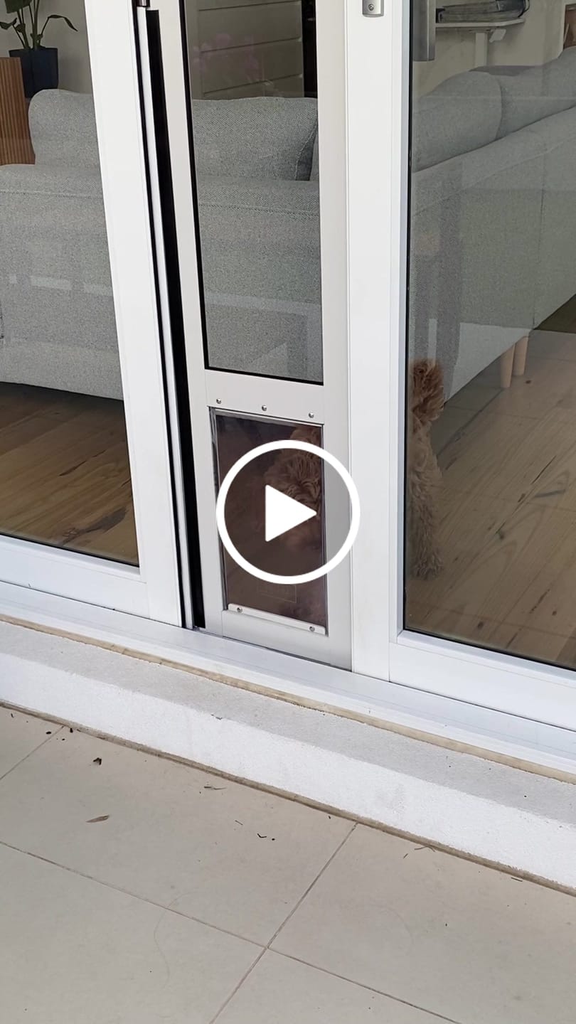 Customer video review of Patio Pet Door Insert