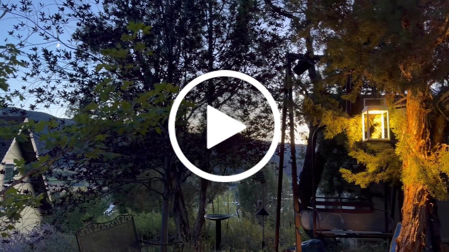 Customer video review of Luxury Metal Solar Lantern