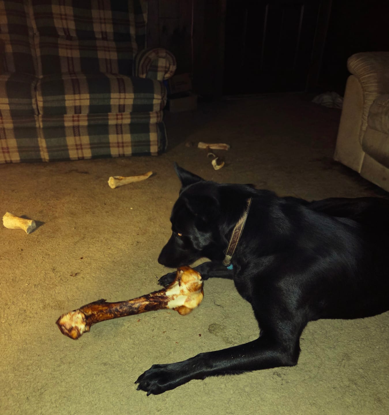 Customer photo review of Monster Femur Bone