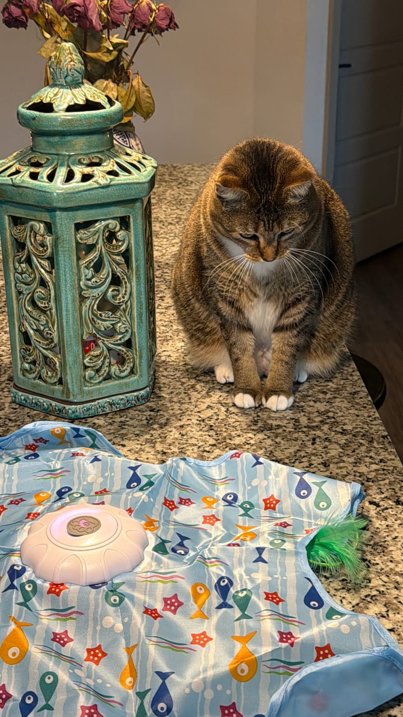 Customer photo review of PEEKY TAIL 2.0
